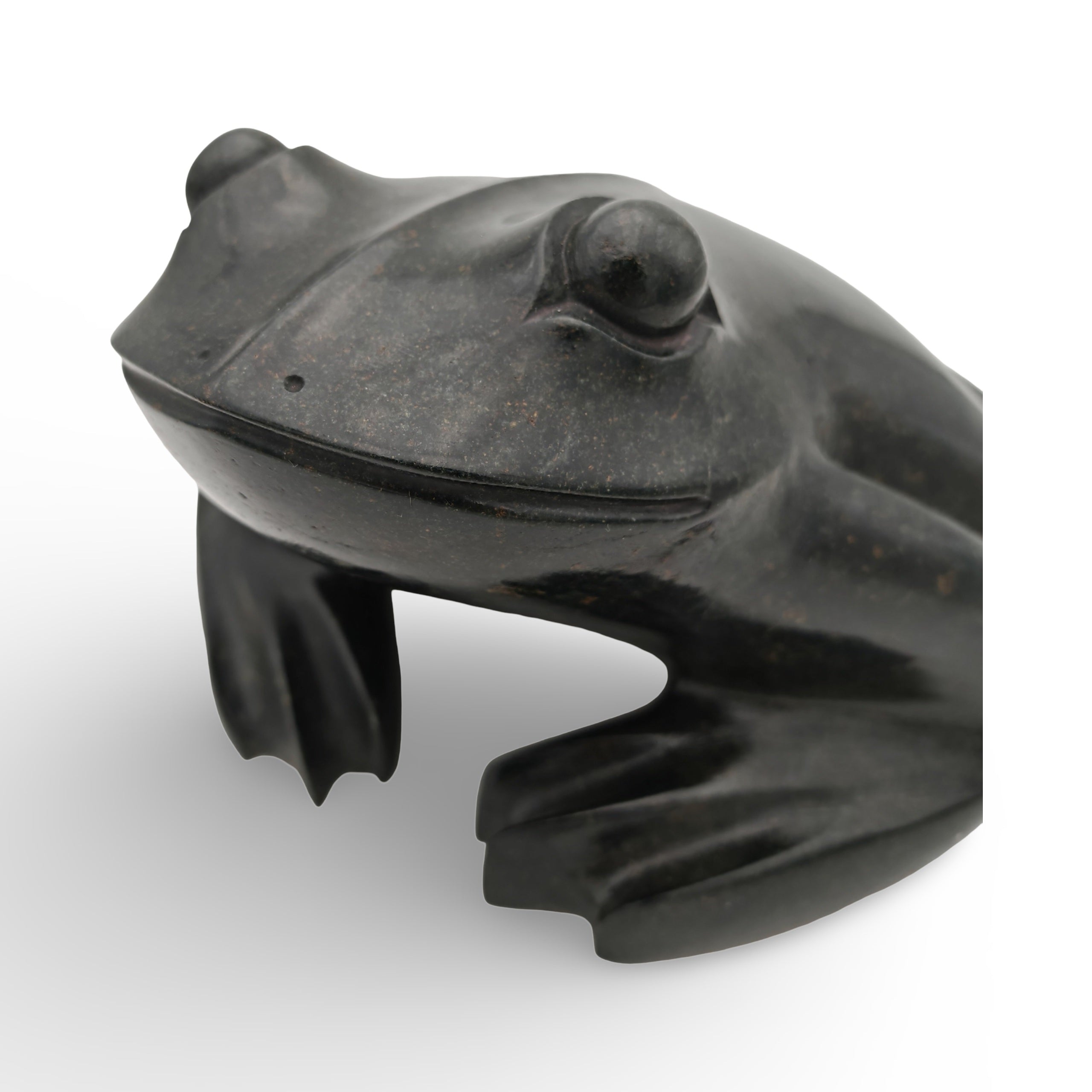 Success Kagore - Frog