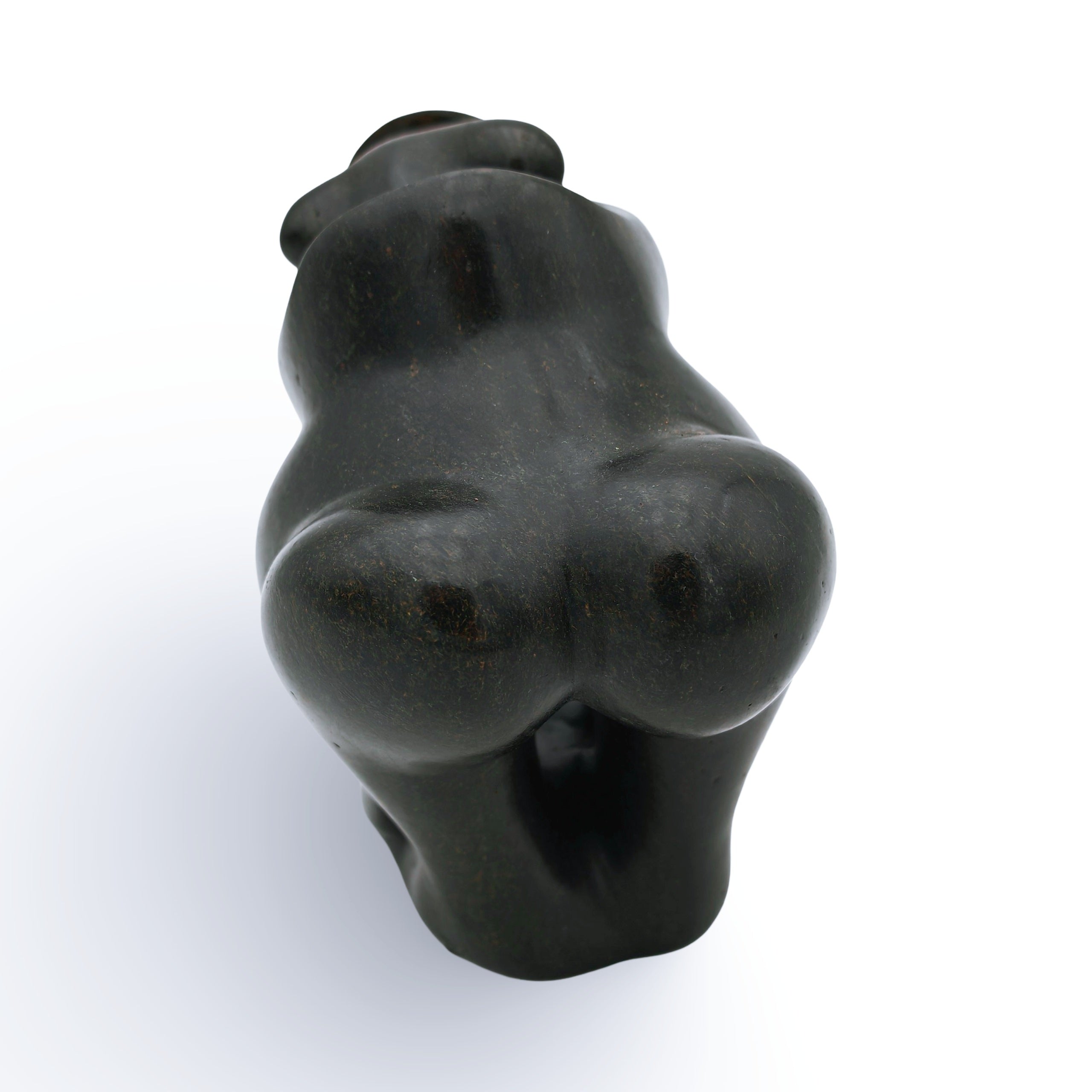 David Mushonga - Bushman