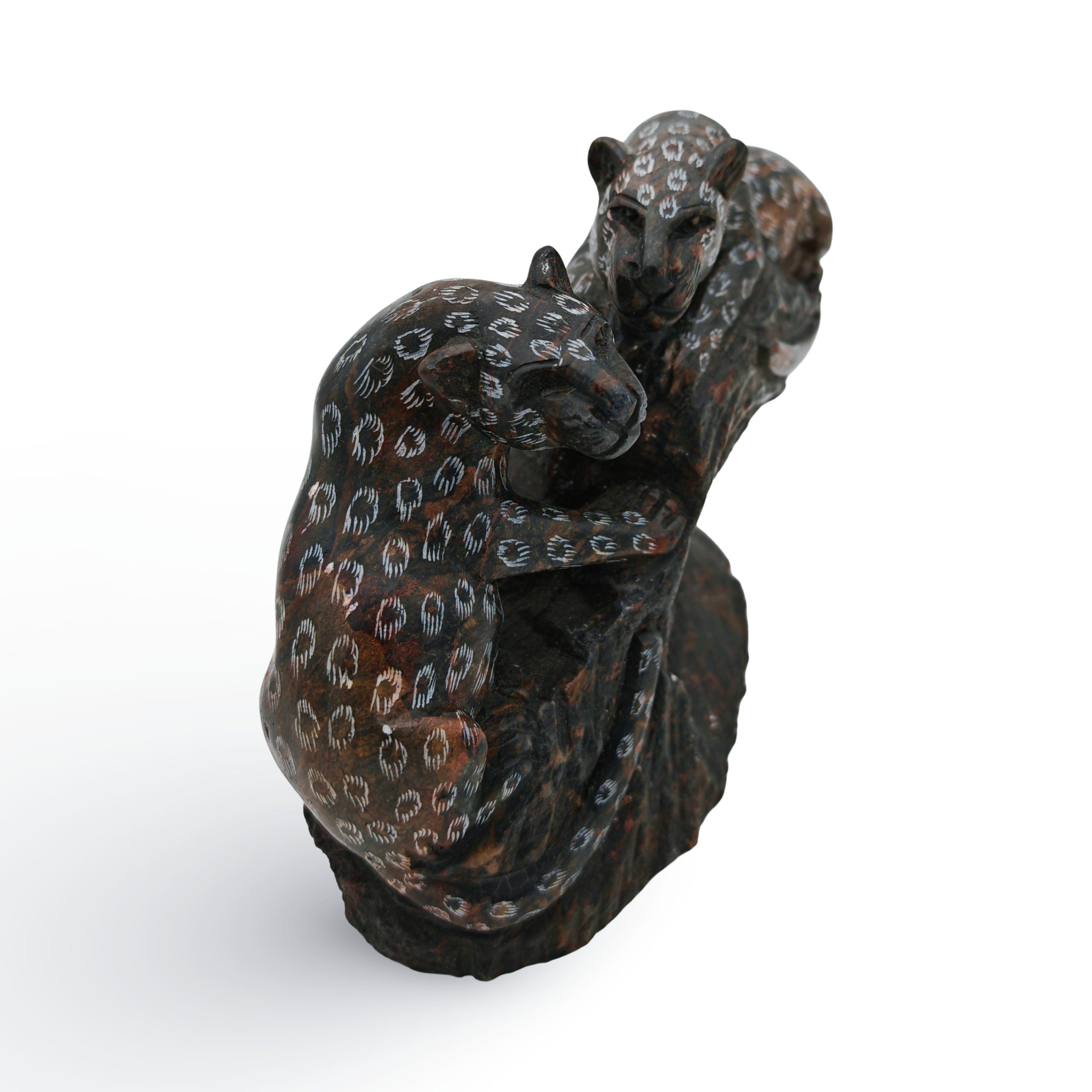 Wedy Zvarinoita - Leopards