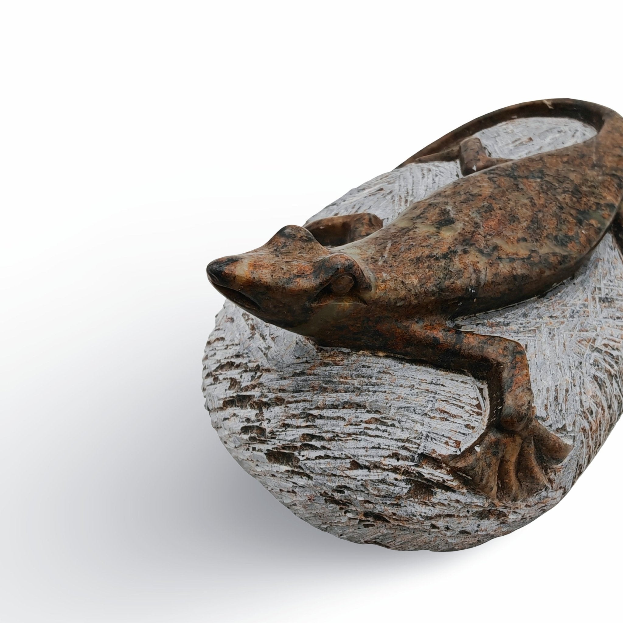 Ngoni Gatsi - Lizard - Shona - Art Shop - Kunst Skulptur aus Stein, dekorativ für den Aussenbereich und Interior