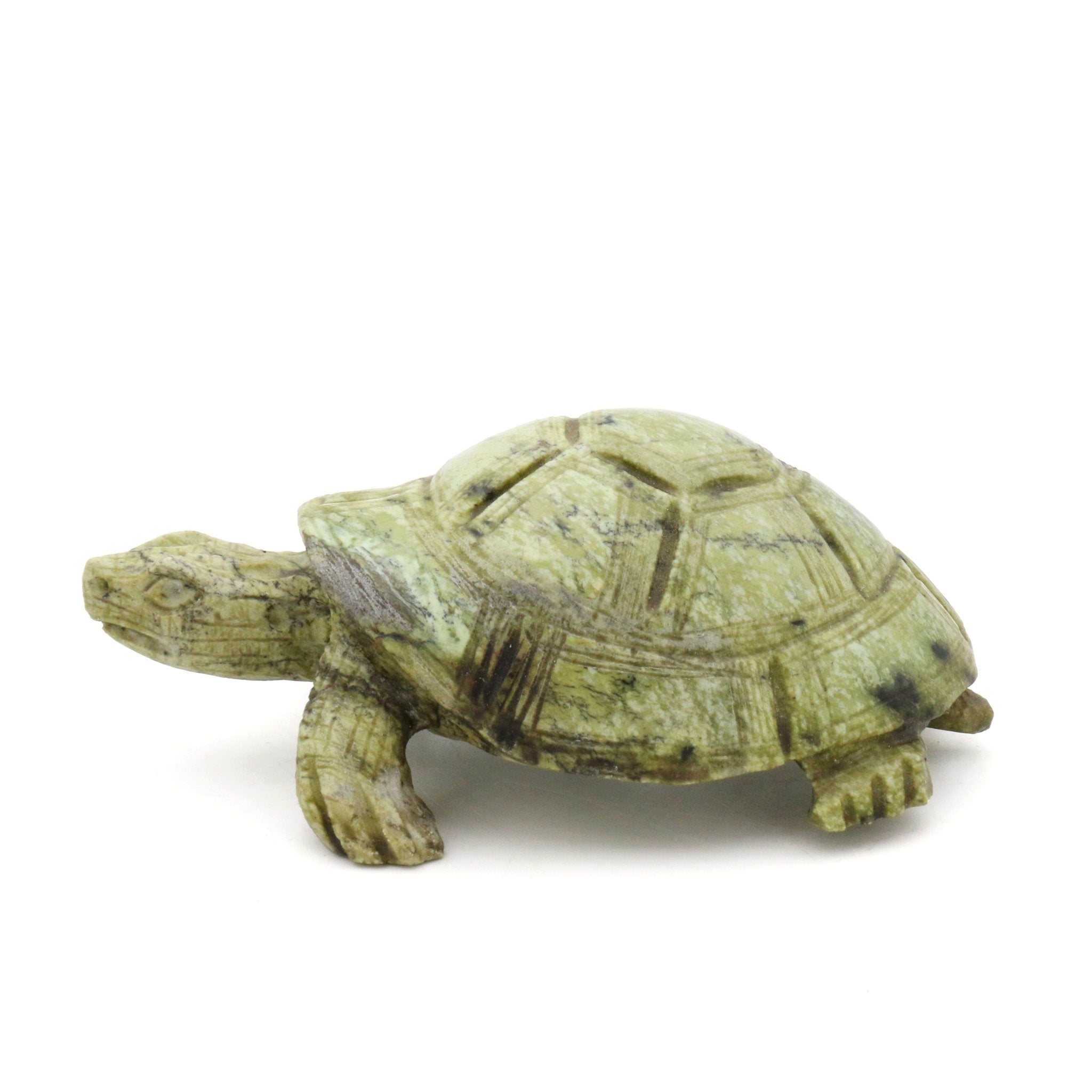 Simbarashe Madzivanyika - Turtle - Shona-Art Shop - Kunst Skulptur aus Stein, dekorativ für den Aussenbereich und Interior